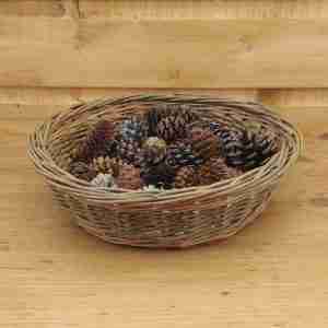 Olive green shallow round basket willow basket with two buff coloured bands, with a pine cone collection displayed inside