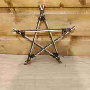 Willow festive star